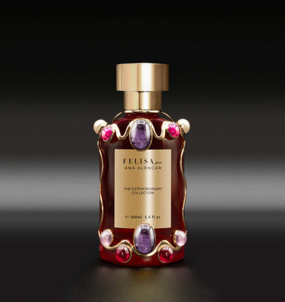 The Extraordinary Collection: Silent Treasure
