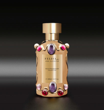 The Extraordinary Collection: Silent Treasure